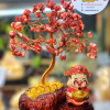 CÂY ĐÁ PHONG THỦY ĐÁ SAN HÔ ĐỎ HỢP MỆNH HÓA
