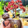 CÂY ĐÁ TỰ NHIÊN KÈM CHÚ TIỂU ĐÁ SAN HÔ ĐỎ